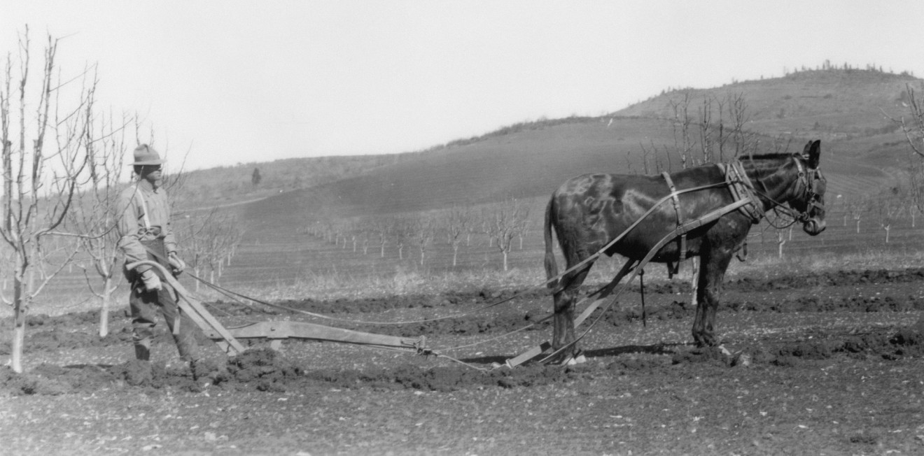 traction